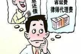 澧县债务清欠服务